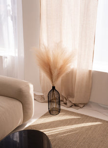 Pampas 110cm (3 Stängel) - Creme
