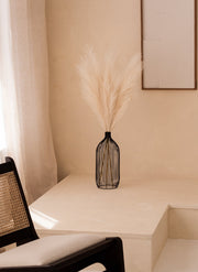 Pampas 110cm (3 Stiele) - Beige