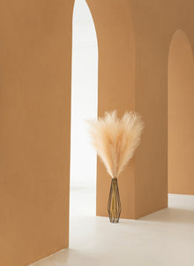 Pampas 110cm (3 Stängel) - Creme
