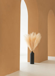 Pampas 110cm (3 Stängel) - Creme
