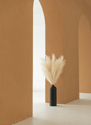 Pampas 110cm (3 Stiele) - Beige