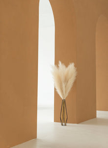 Pampas 110cm (3 Stängel) - Beige