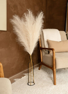 Pampas 110cm (3 Stängel) - Beige