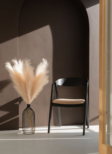 Pampas 110cm (3 Stängel) - Creme
